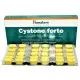 Цистон форте / Cystone forte - Хималая - 60 таб